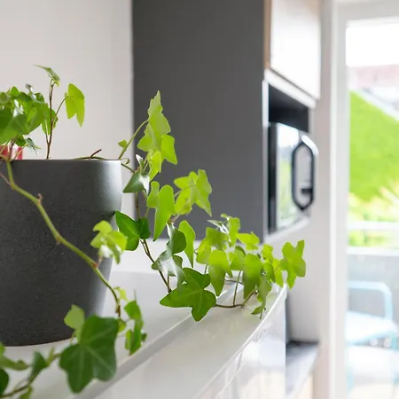 Apartman La Pause Tourangelle *