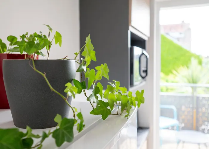 شقة La Pause Tourangelle *